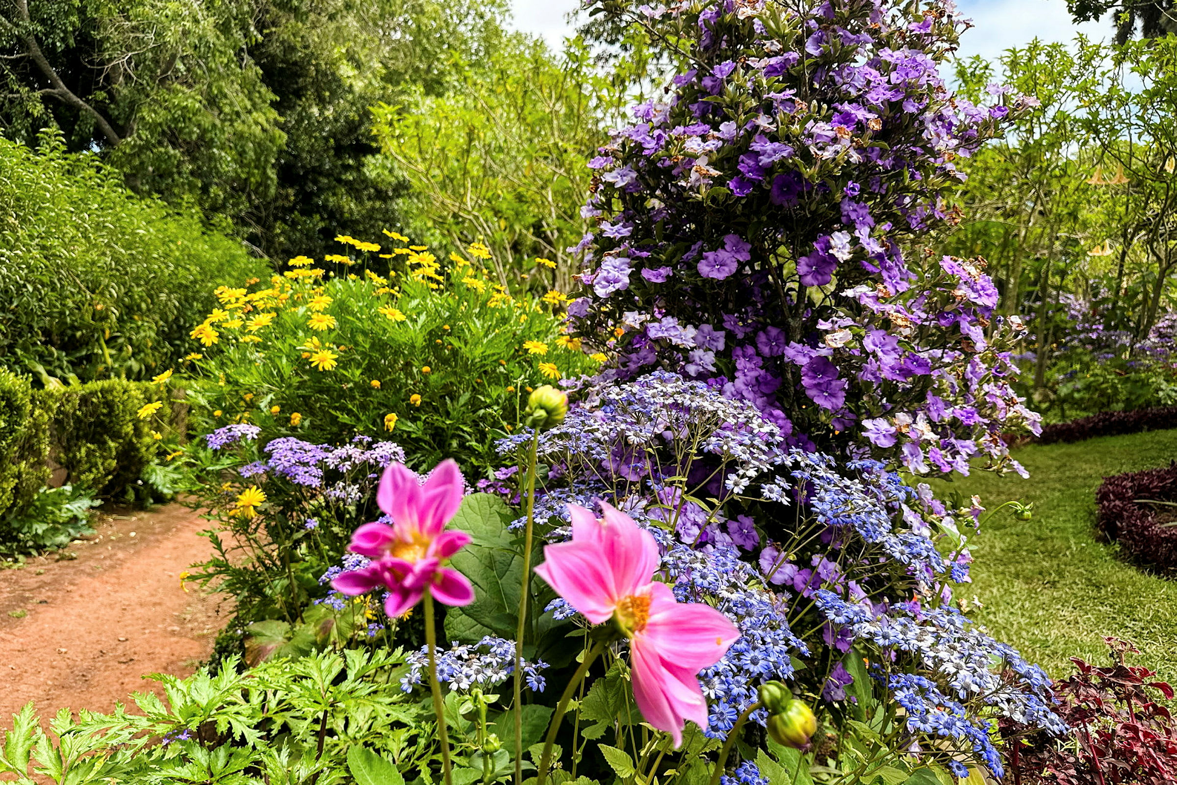 En fargerik hage med rosa, gule, lilla og blå blomster. (AI-generert tekst)