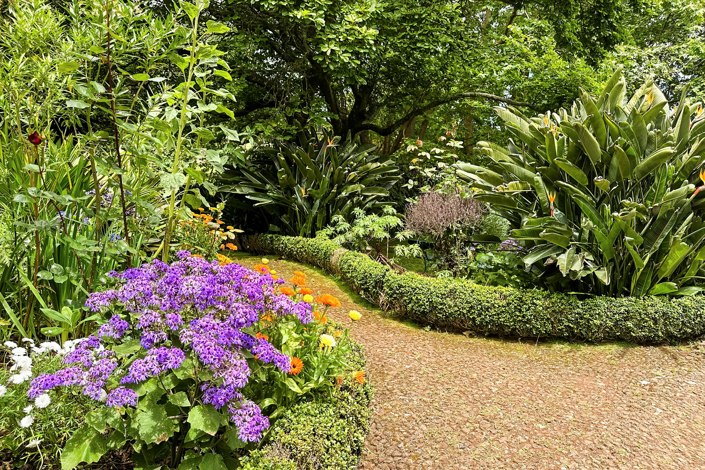 En frodig hage med en sti omgitt av fargerike blomster og grønne planter. (AI-generert tekst)