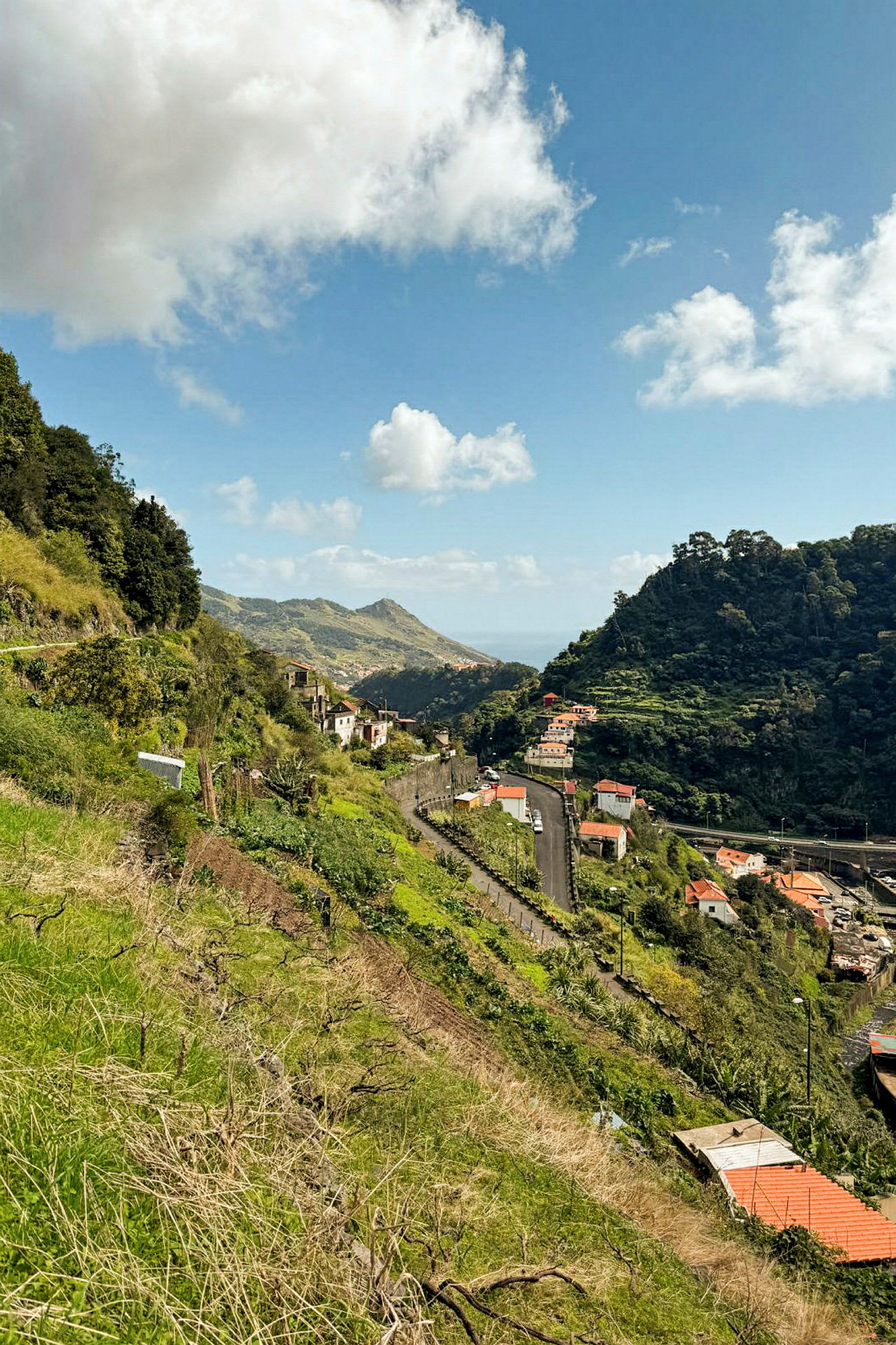 Levada dos Maroços (også kjent som Mimosa Valley)