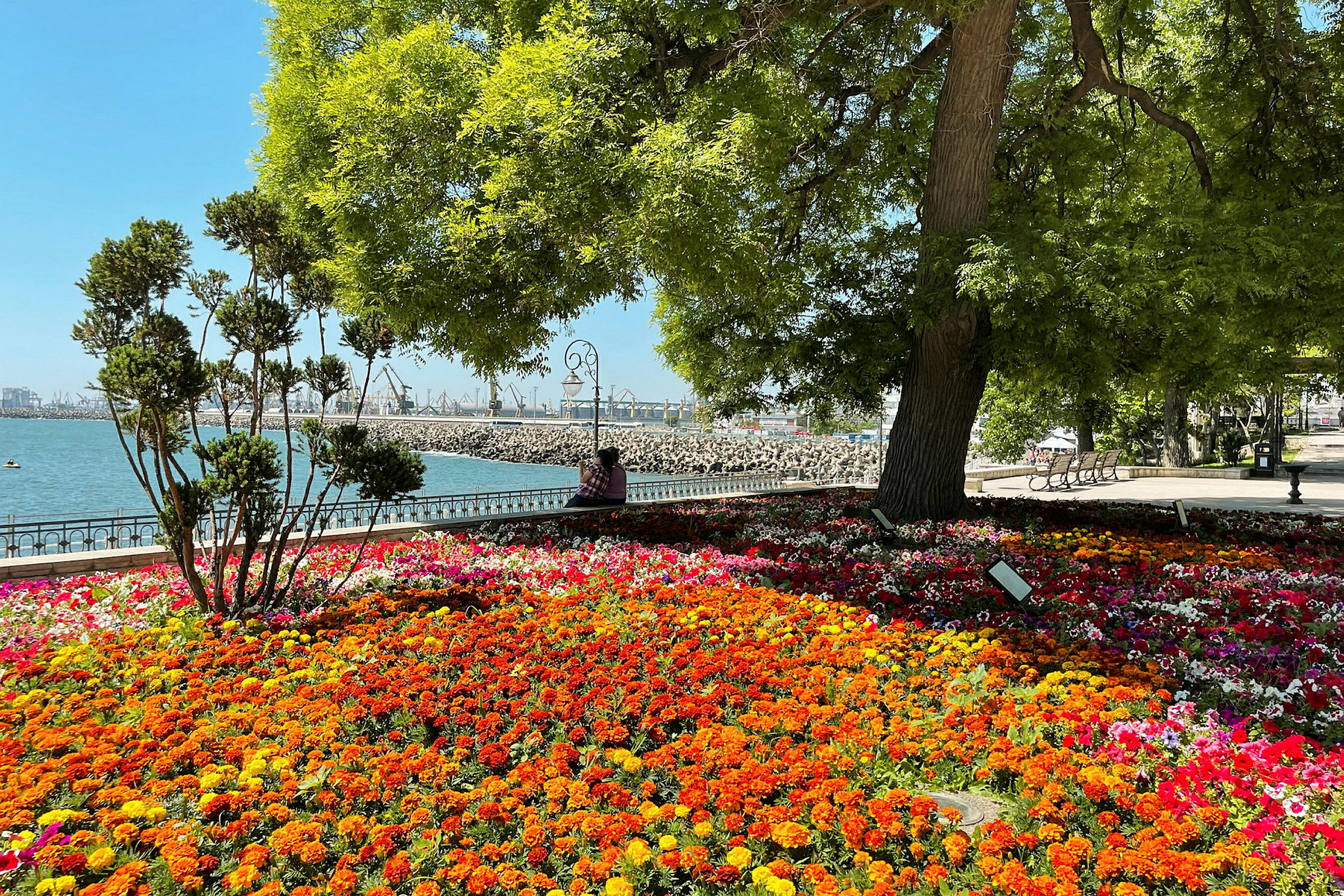 En park med et bed av fargerike blomster og trær nær vannet. (AI-generert tekst)