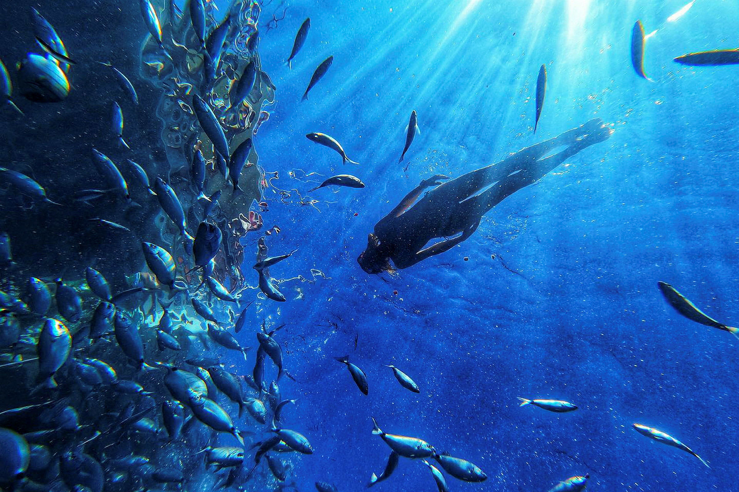 En person svømmer under vann blant fisk. (AI-generert tekst)