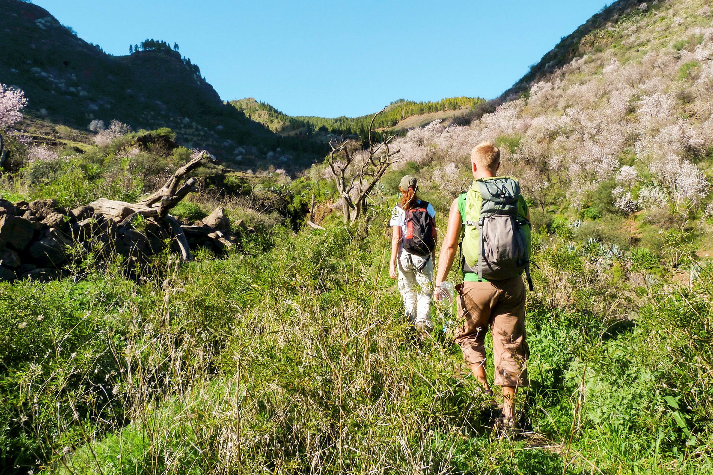To personer med ryggsekker vandrer gjennom et frodig landskap med fjell og blomstrende trær. (AI-generert tekst)