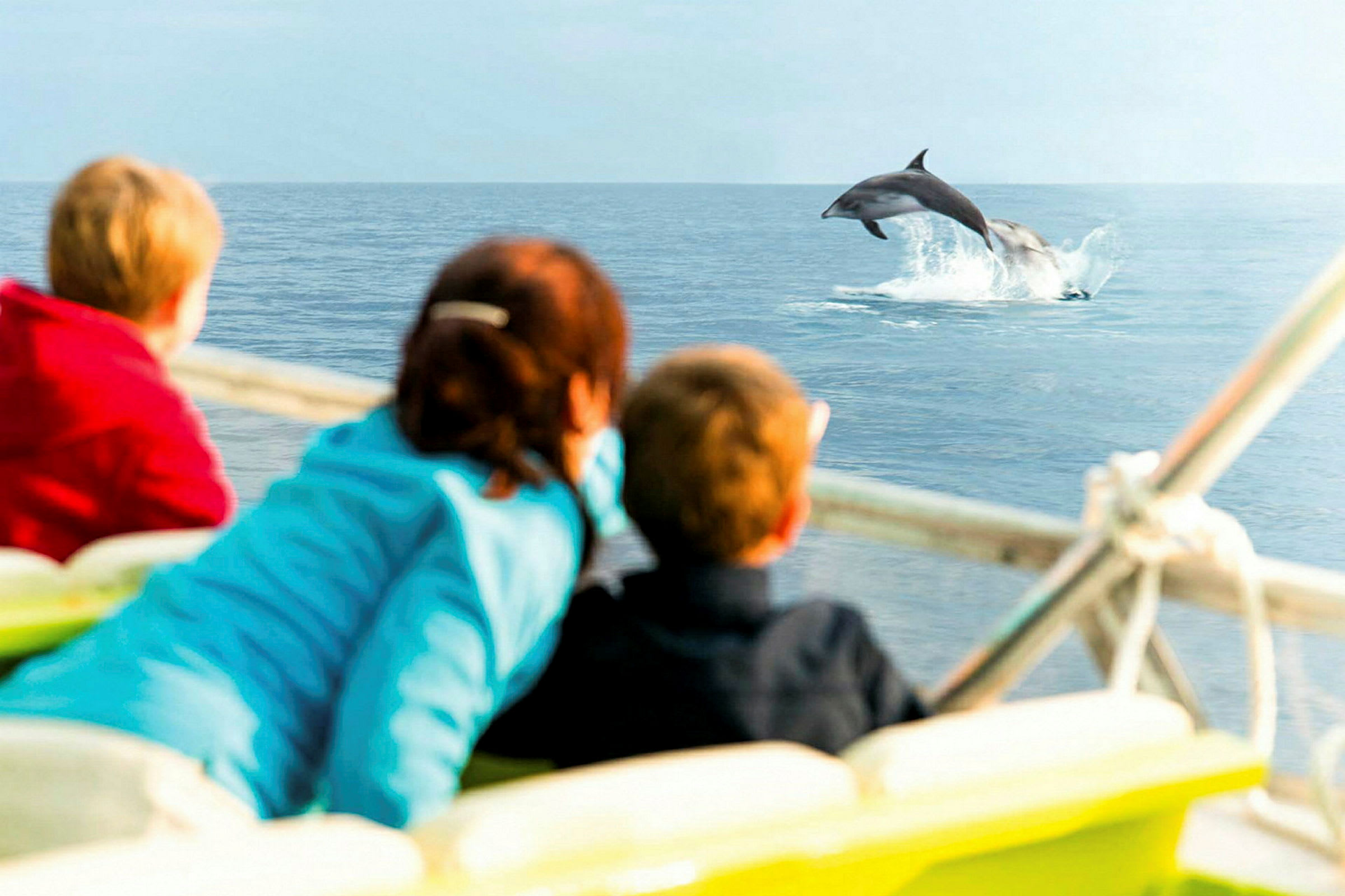 Tre personer på en båt ser en delfin hoppe ut av vannet. (AI-generert tekst)