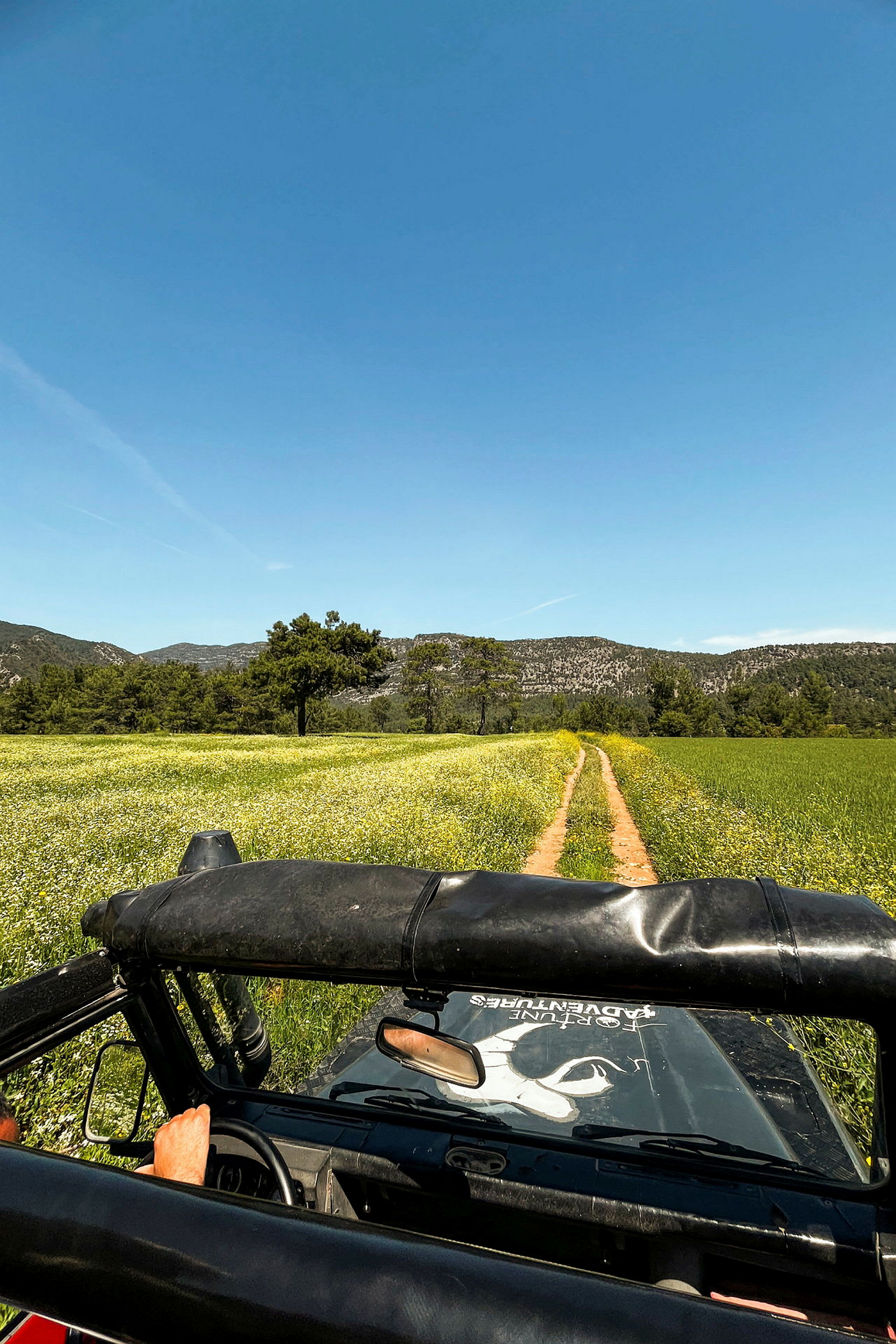 En jeep kjører på en grusvei gjennom et grønt jorde med blomster og trær. I bakgrunnen sees en fjellkjede under en klar blå himmel. (AI-generert tekst)