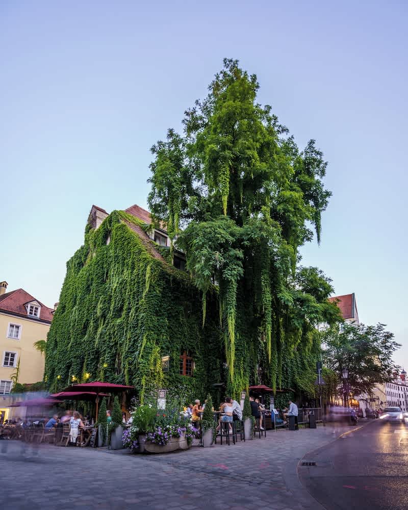 Bar (på overnattingsstedet)