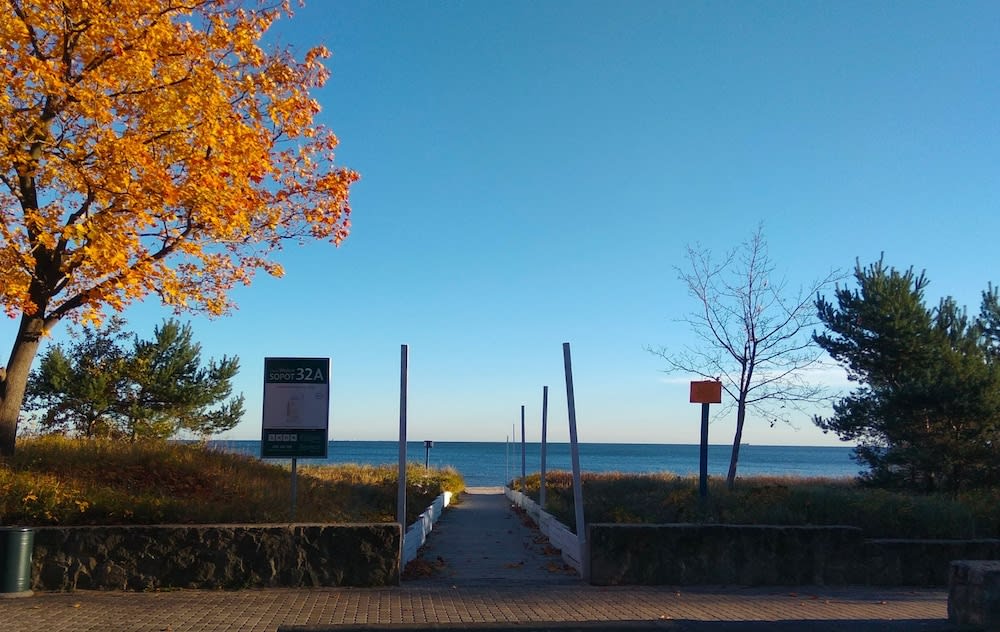 Gårdsplass