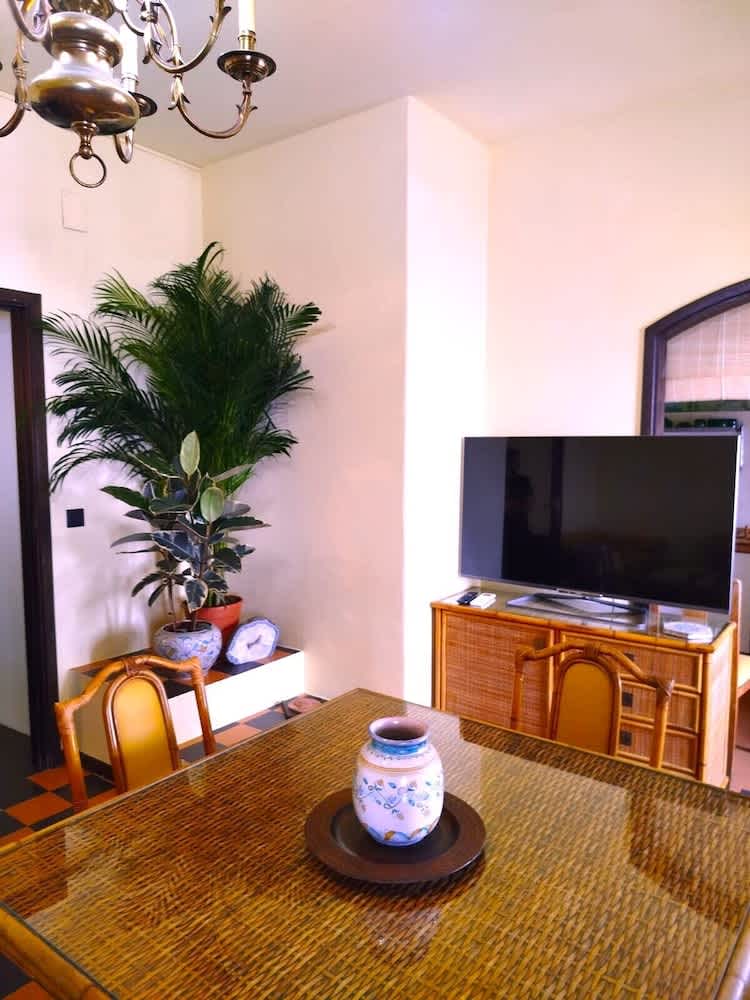 TV