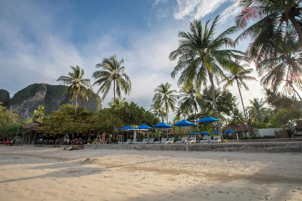 Strand