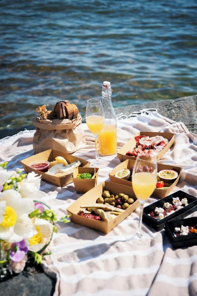 Grill-/piknikområde