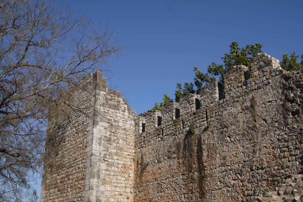 Severdighet