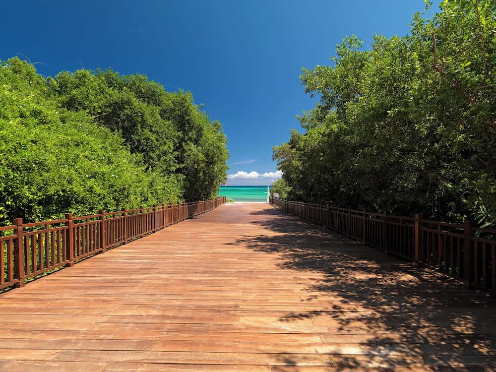 Strand