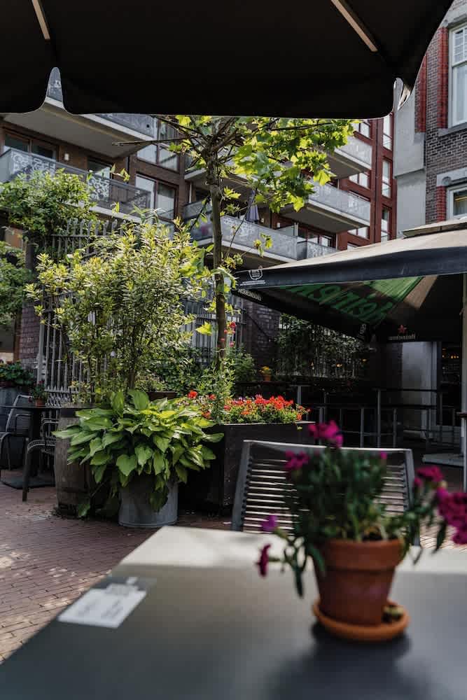 Terrasse/patio