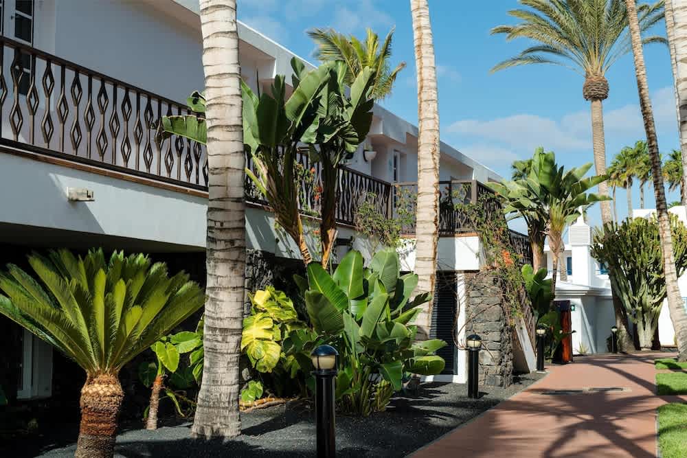 Eksteriør