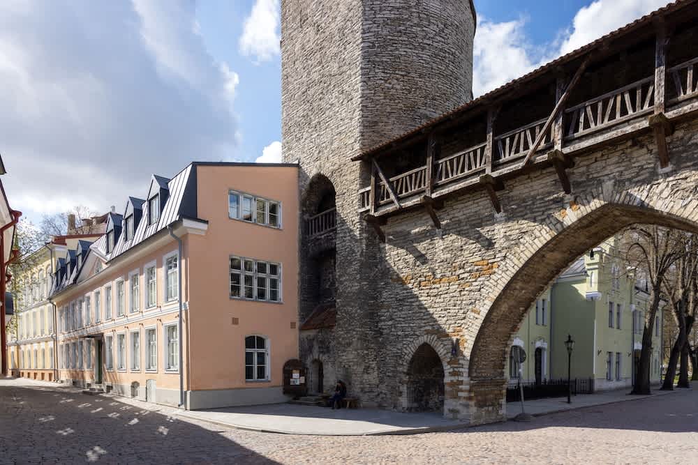 Eksteriør