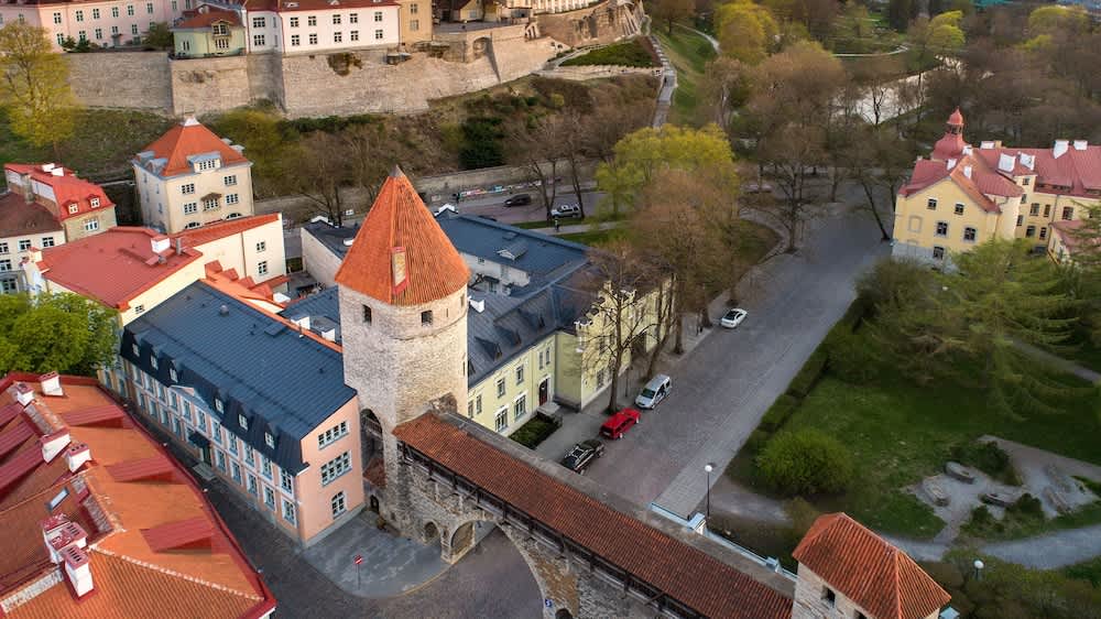 Eksteriør