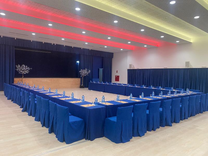 Konferanser