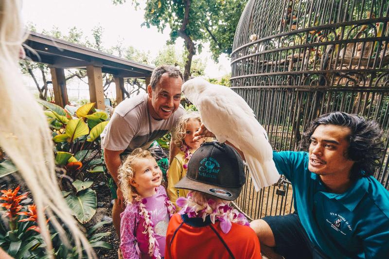 Rom