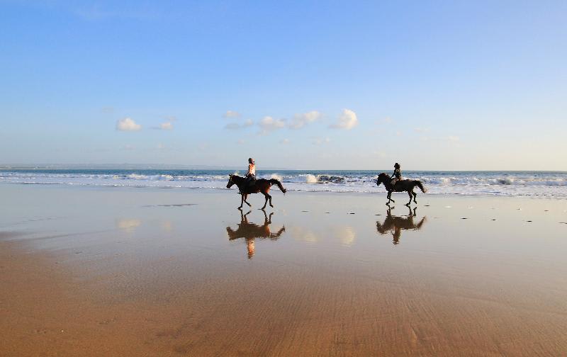 Strand