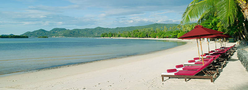 Strand