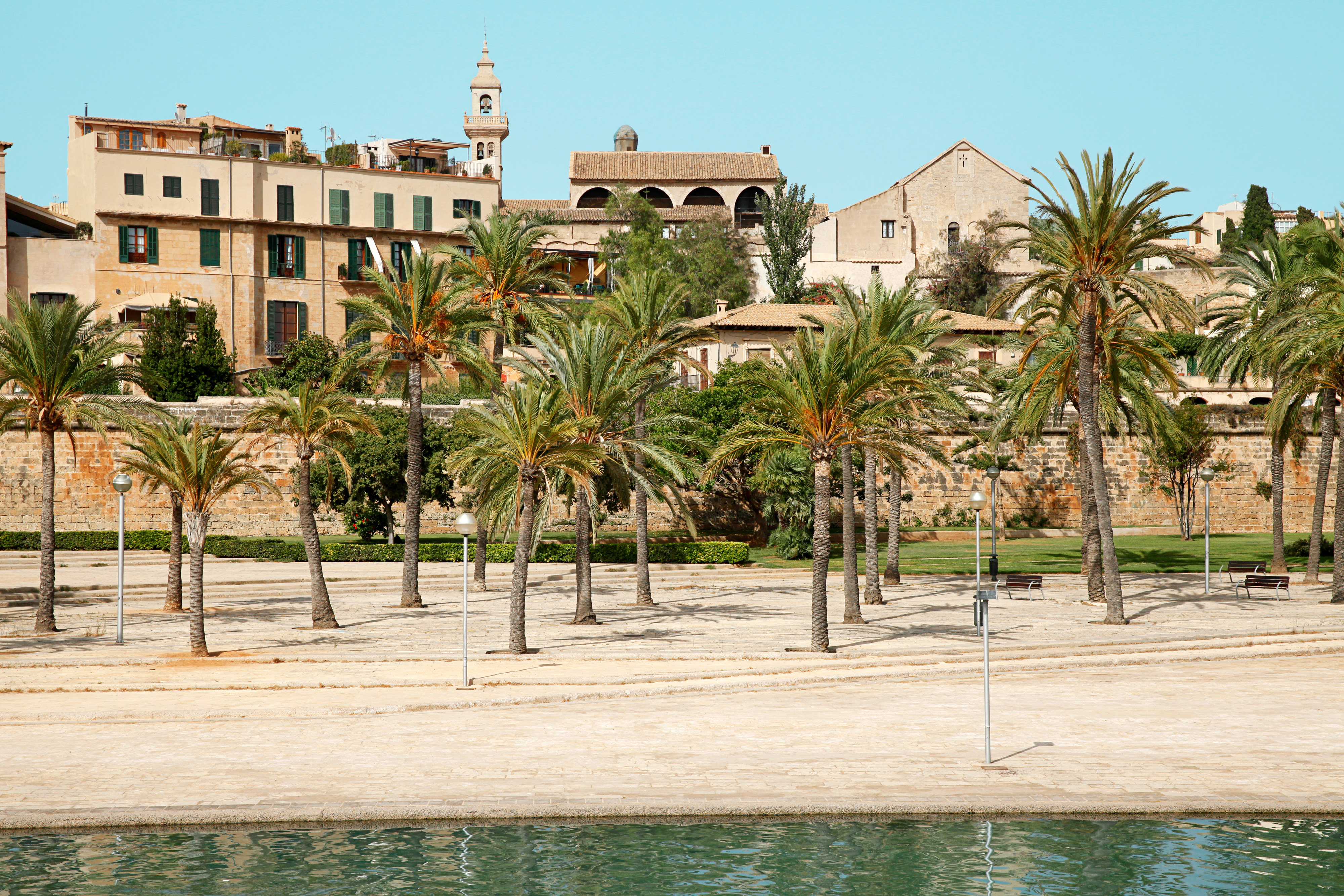 Palma by