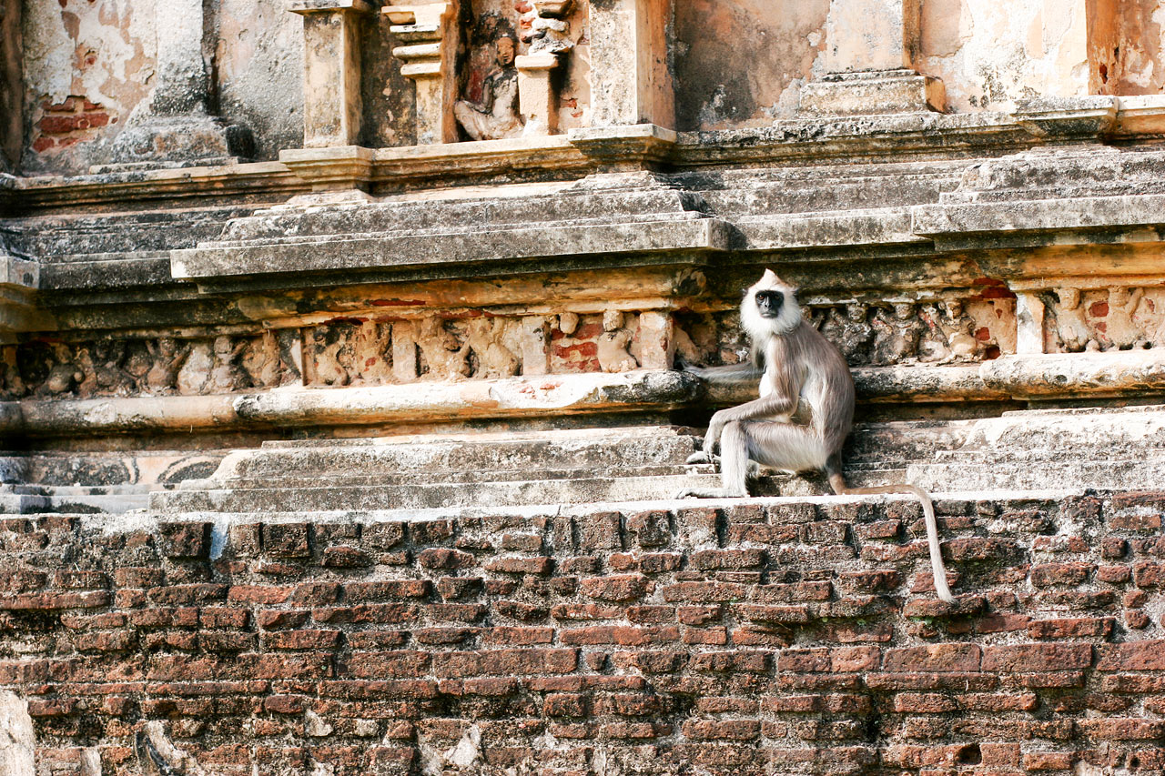 Den historiske byen Polonnaruwa
