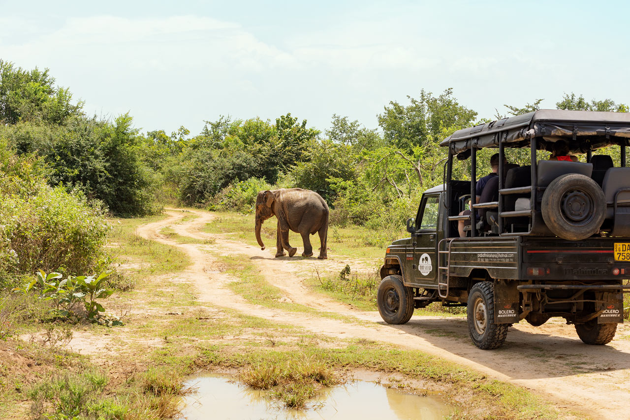 Udawalawe nasjonalpark