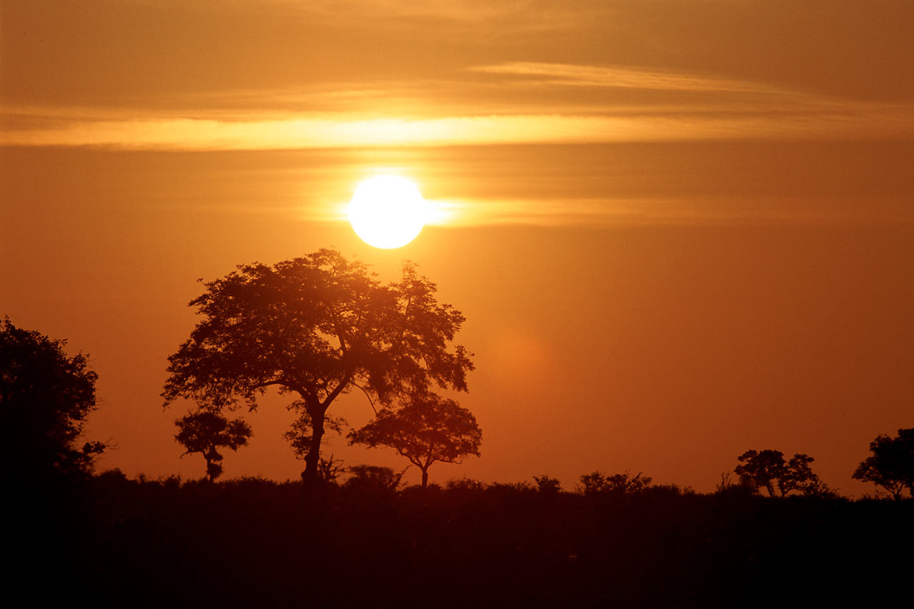 Kruger nasjonalpark