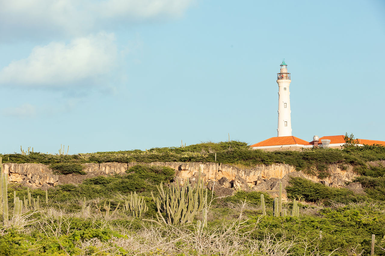 California Lighthouse