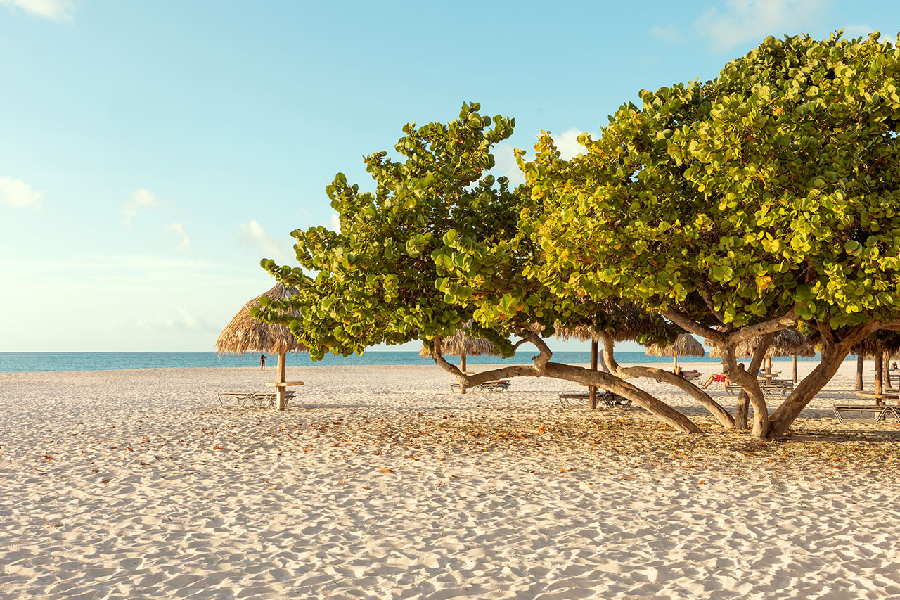 Stranden ved Manchebo Beach Resort & Spa