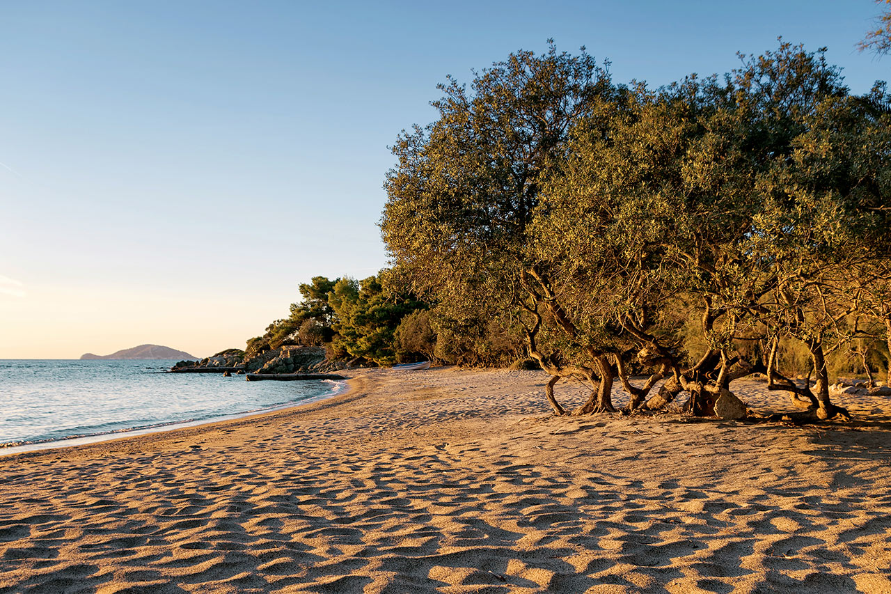 Finn din favorittstrand langs Sithonias vakre kyst